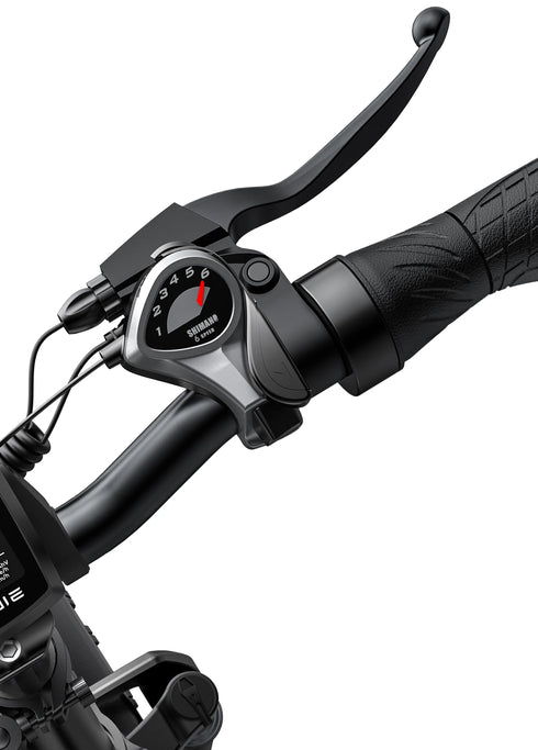 ENGWE EP-2 PRO EU | New Versione 2024 | Bicicletta elettrica | Ruote Fat | 48V 13Ah | Autonomia fino 100km | GARANZIA ITALIANA